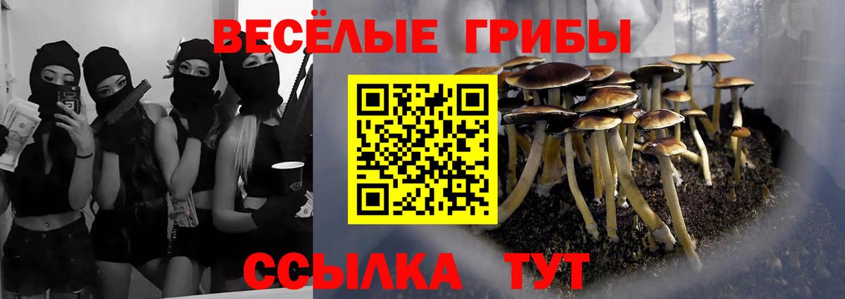 Псилоцибиновые грибы мухоморы  Вход с VPN  Электросталь 