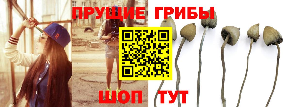 Галлюциногенные грибы прущие грибы Электросталь